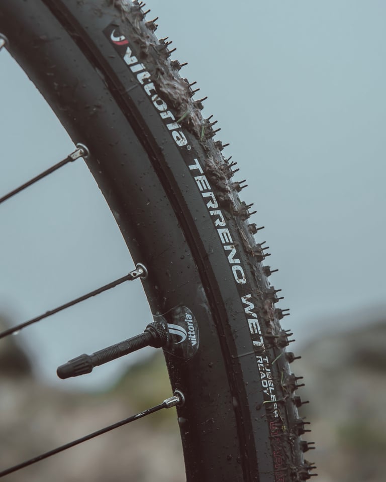 Mud-flecked Vittoria Terreno Wet tyre and tubeless valve after a winter of gravel riding with the Air-Liner insert fitted.