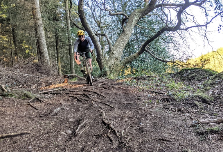 Rider on a Fairlight Faran rolls down a rooty woodland trail on the Woodbury Common XC course.