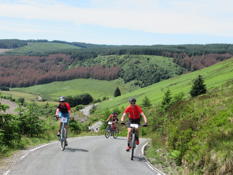 Gritfest riders climb a narrow tarmac road through green hills and conifer forest in Mid Wales.