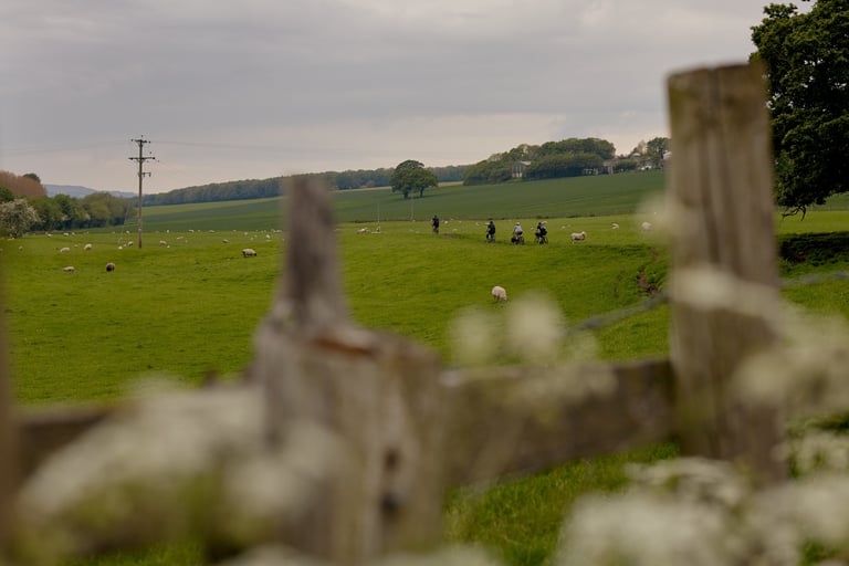 Four riders cross green sheep pasture on a bridleway towards Otley, seen past a blurred wooden fence.