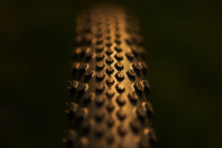 Head-on close-up of the evenly spaced knobbly tread on a Continental Terra Trail gravel tyre.
