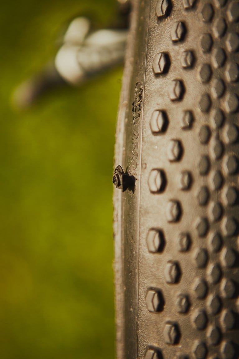 Close-up of a plugged tear beside the hexagonal shoulder knobs on the Continental Terra Trail sidewall.