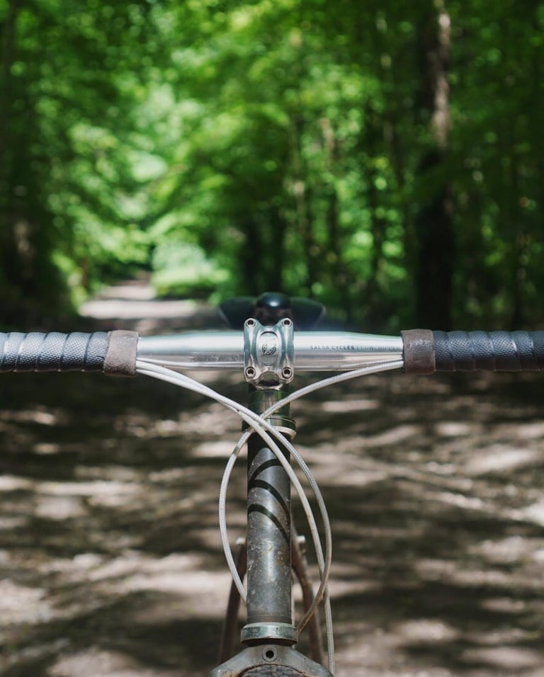 Salsa Cowchipper Deluxe bars fitted to a bike, with cables looping from the stem, facing down a tree-lined track.