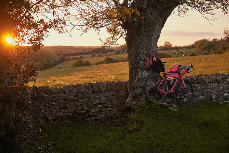 Pink Specialized Diverge gravel bike leans against a tree by a dry stone wall at sunset in the Cotswolds.