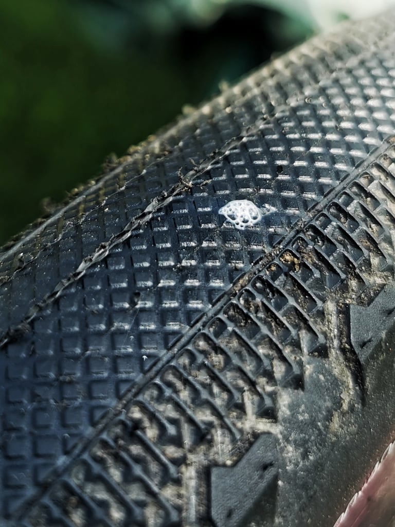 Maxxis Receptor tyre with a bubble of sealant weeping through a tiny cut in the rolling surface.