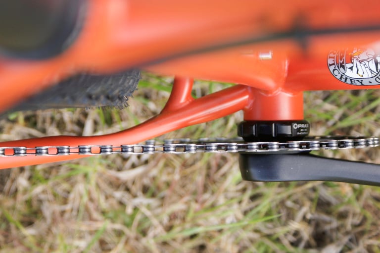 Underside view of the Ritchey Ascent bottom bracket, chainstay and chain on dry grass.