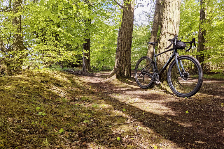 Giant Revolt Advanced Pro 0 leaning against a tree on a sunlit woodland trail with fresh green leaves.