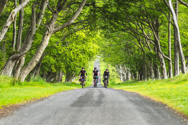 Three Farr Out Deliveries riders on bikepacking bikes ride a tree-lined country lane on the Pennine Rally.