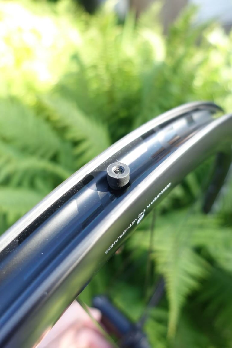 Close-up of a Scope R4A rim with the valve pre-installed, against green ferns.