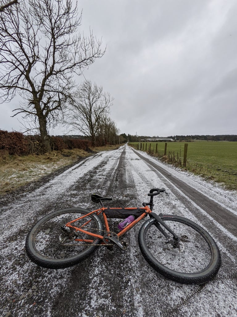 Fairlight Secan lying on an icy, snow-dusted farm lane with bare trees and a field beyond.