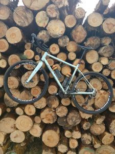 Specialized Sequoia