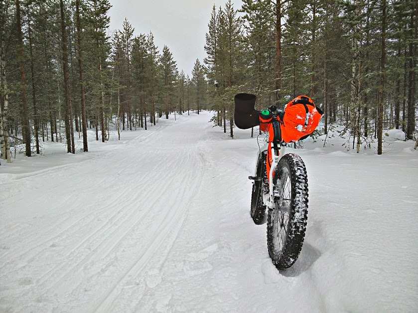 Snowy Trails