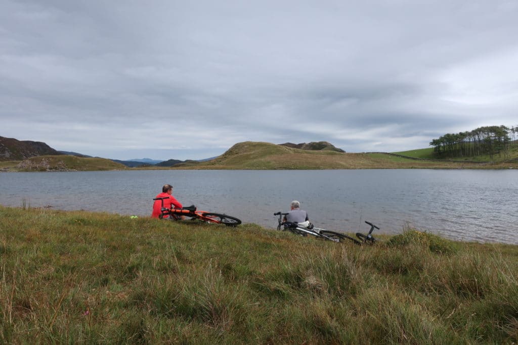 Dyfi Trails