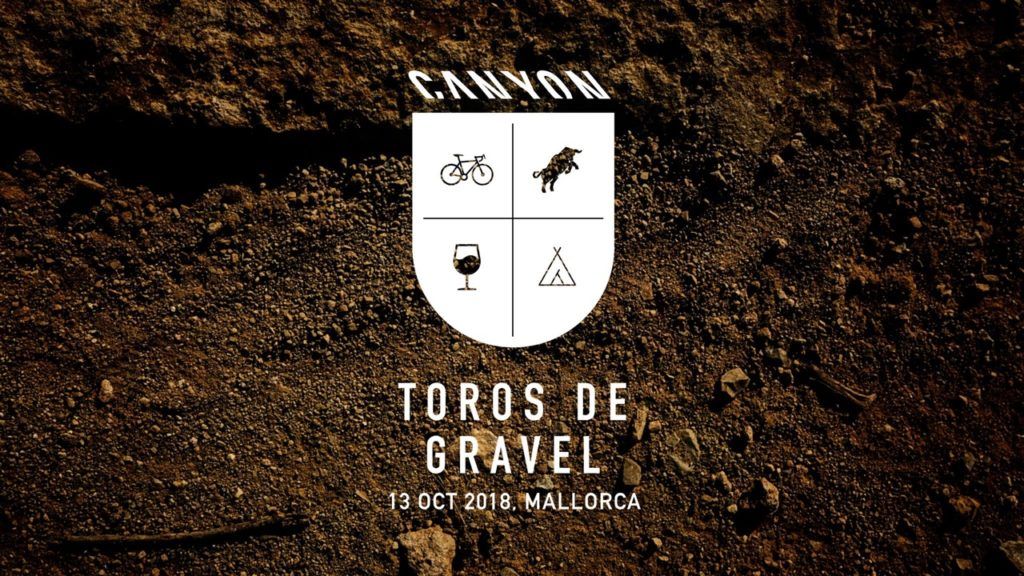 Canyon Toros De Gravel