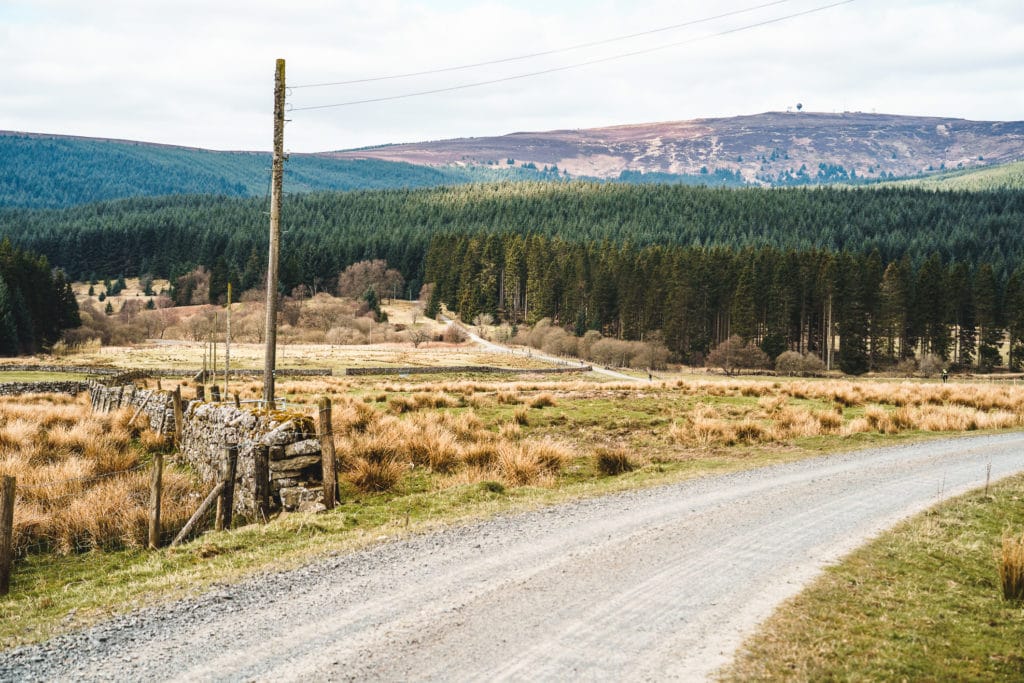 Northumberland Wilderness - image credit: Dan Monaghan