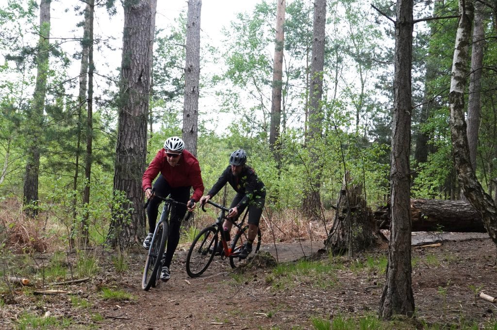 Swinley Gravel tree swooping