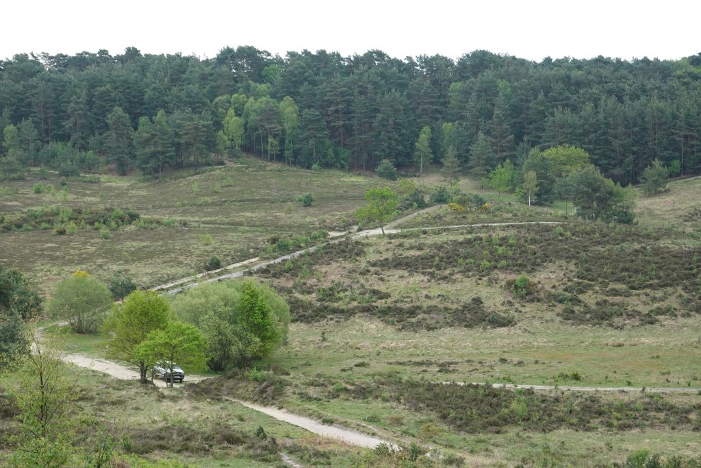 Swinley Gravel Views