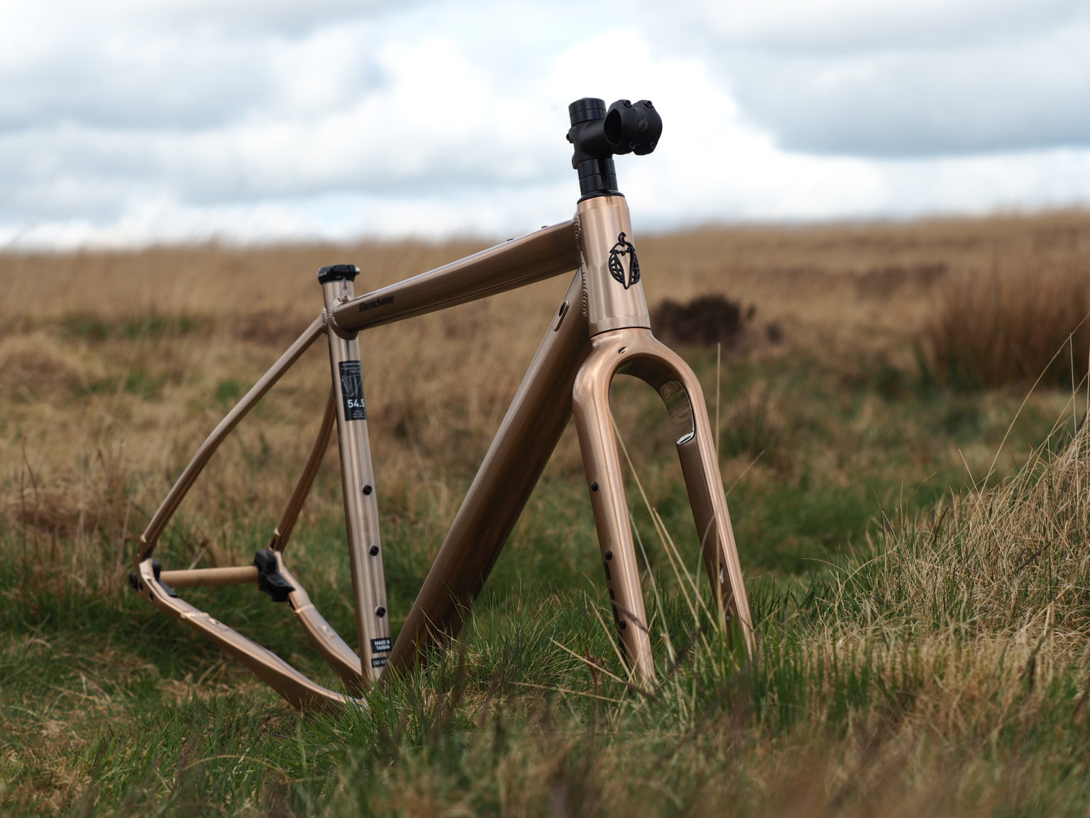 Salsa Stormchaser frameset