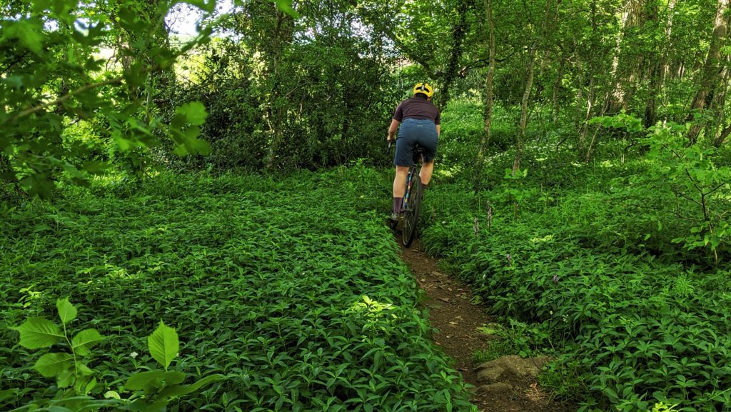 Gravel riding on singletrack