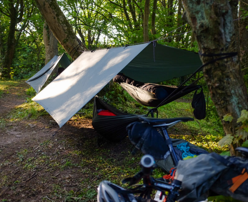 Hammock shop camping setup