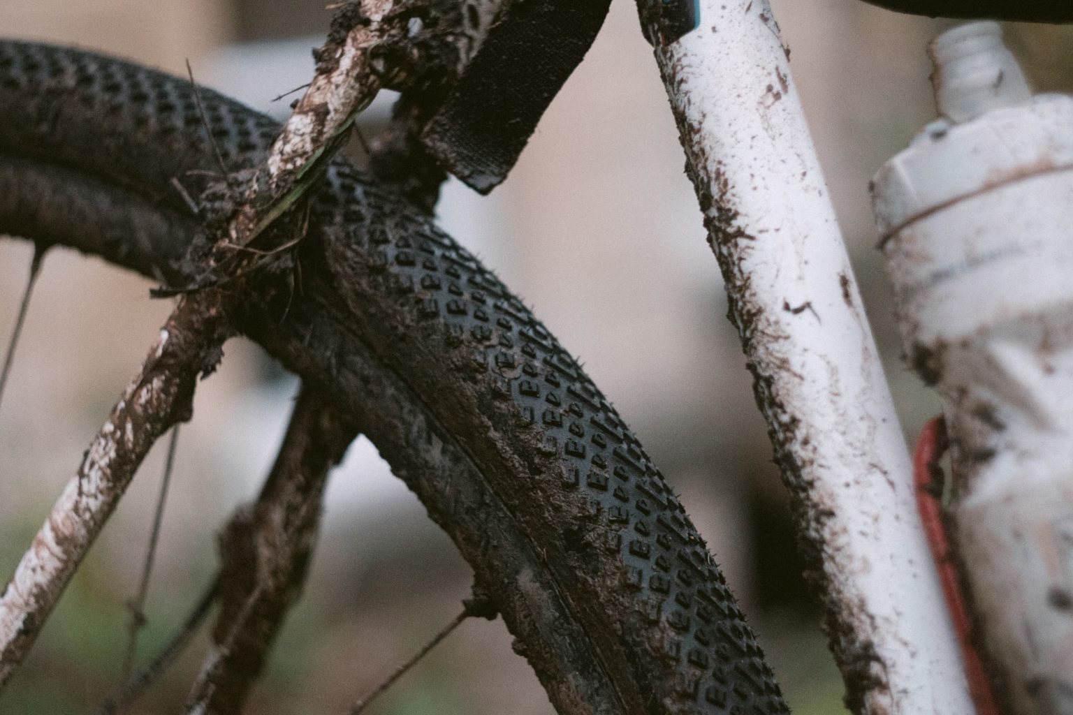 Halo GXC gravel tyres