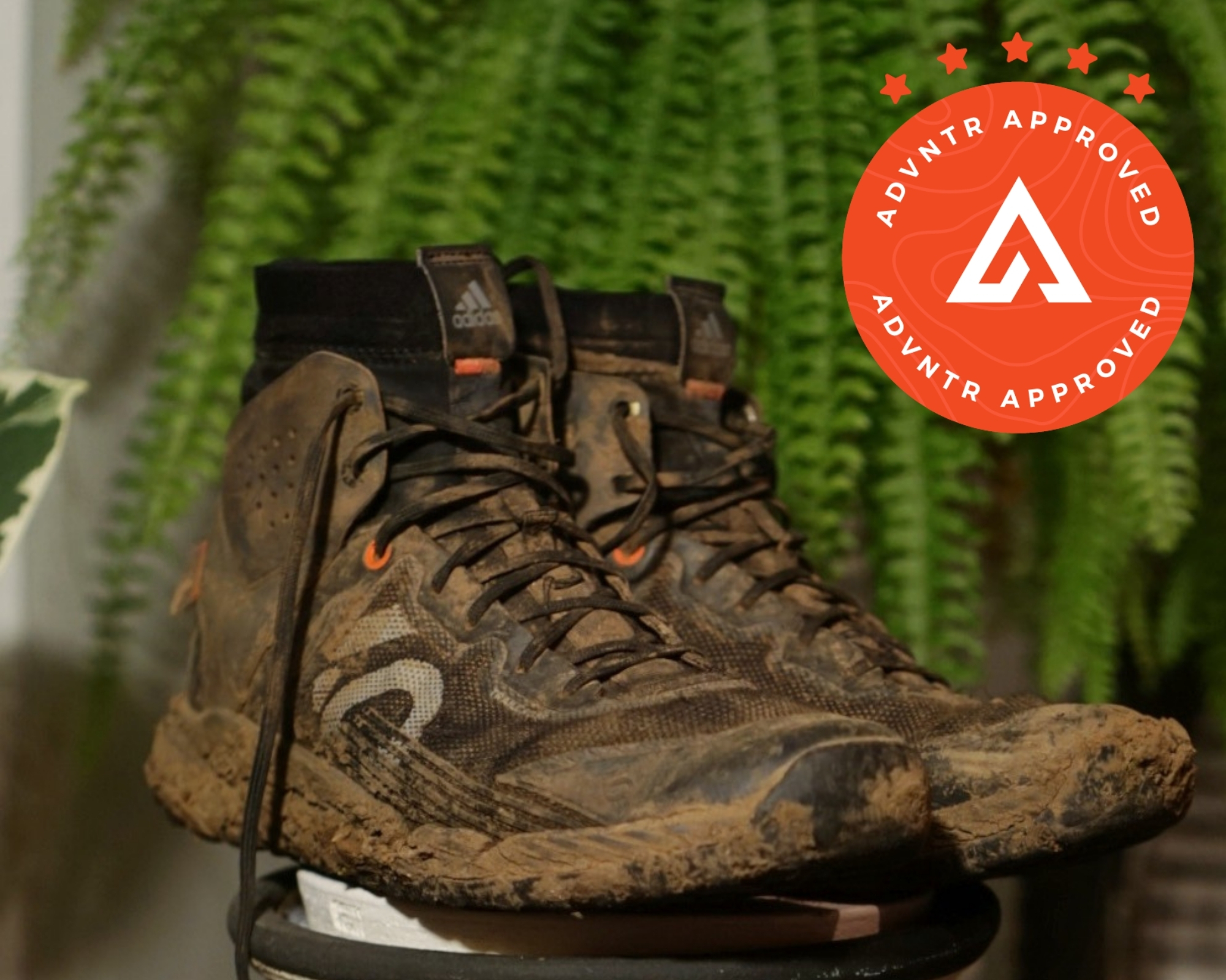 ADVNTR Approved Gear of the year