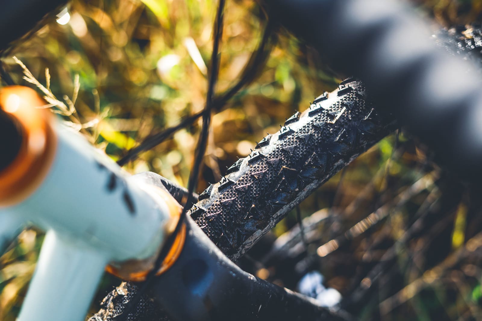 Ultradynamico Rosé Robusto tyre review