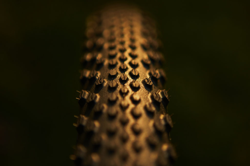 Deep tread and evenly spaced grip pattern keep the Terra Trail rolling fast and gripping nicely