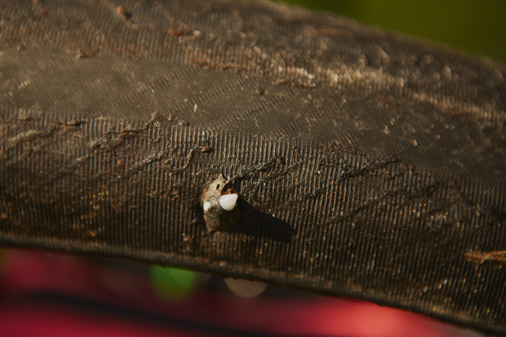 An inside look at the Terra Trail after Stans plug was used to repair hole in tyre